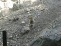 IMGP1183.JPG